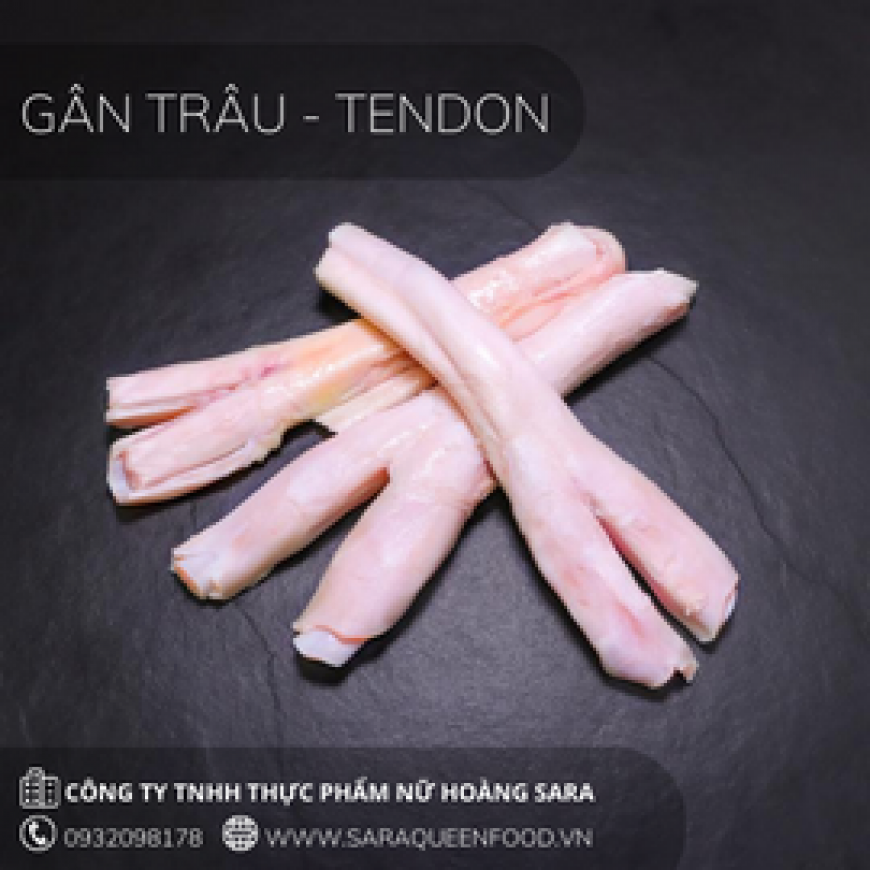 Gân Trâu TENDON - M09