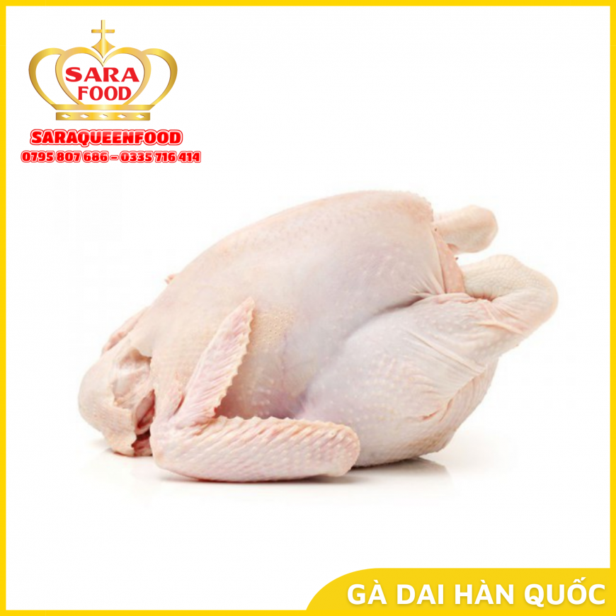 Gà Dai Không Đầu Hàn Quốc