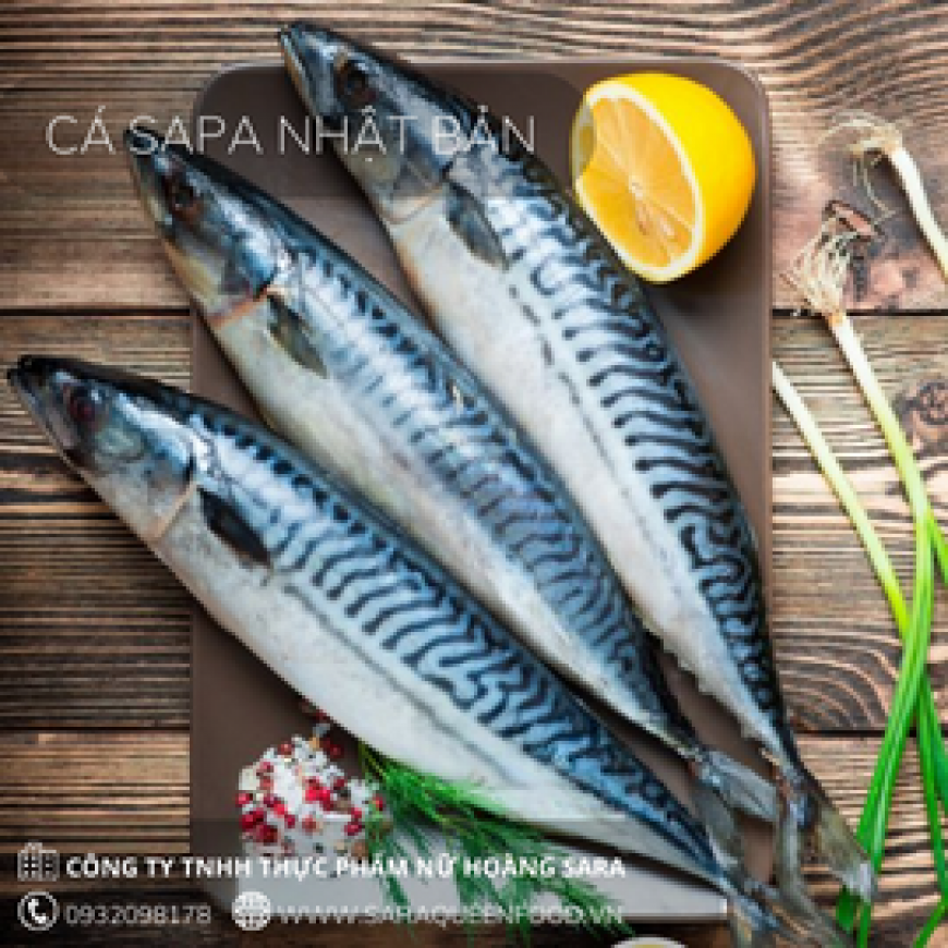 Cá Saba Nhật Bản