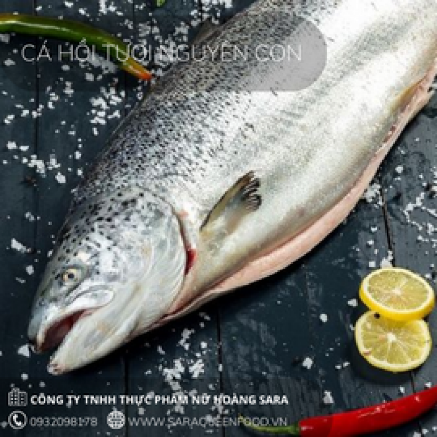 Cá hồi tươi nguyên con 