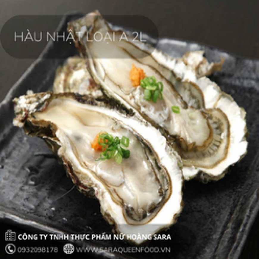 Hàu Nhật Loại A 2L