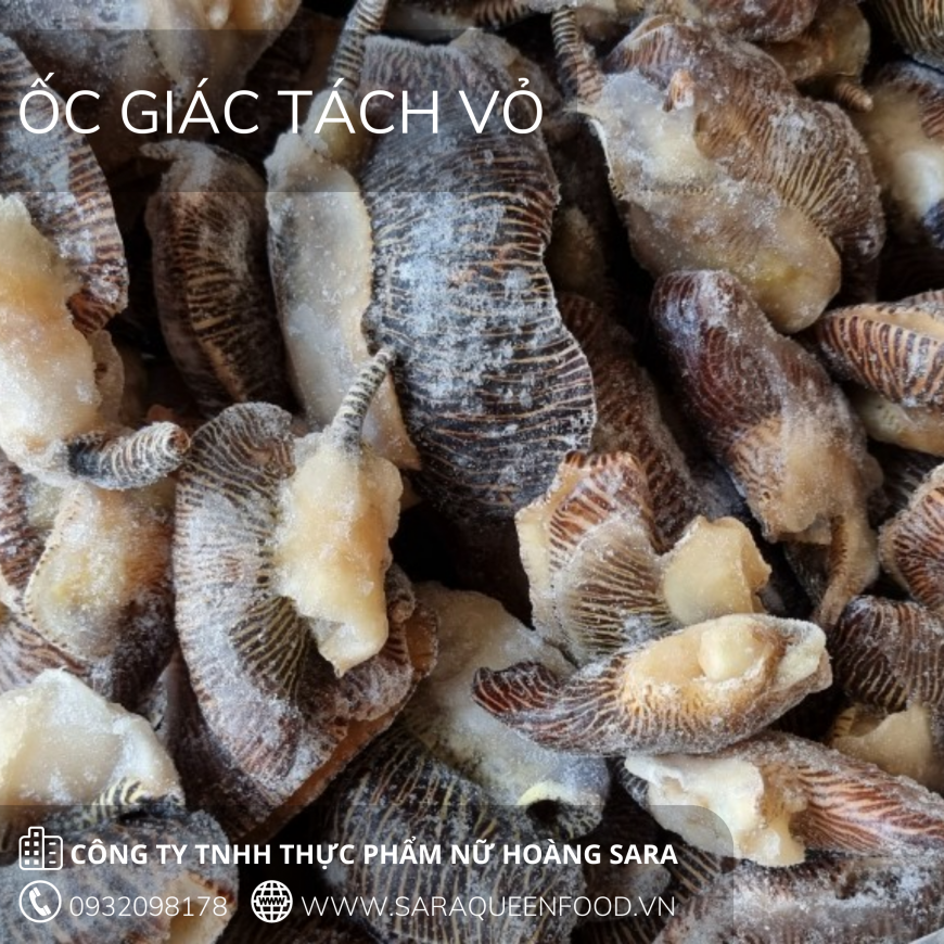 ỐC GIÁC TÁCH VỎ
