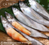 Cá Trứng